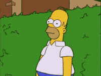 giphy (3).gif