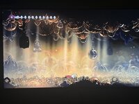 IMG_4513.jpeg