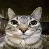 Wcxcisn