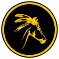 CM Speedrunners
