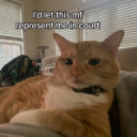 WspImGeorge