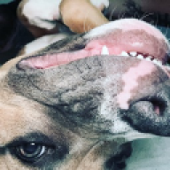 arextt