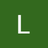 lemarocainlabagarre
