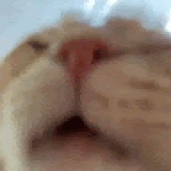 quintaosx