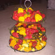 mmanfroni