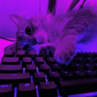 t0rii