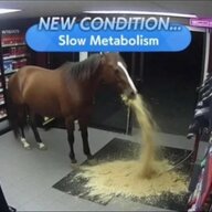 artoriaishungry