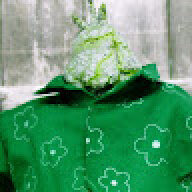ZRAMN