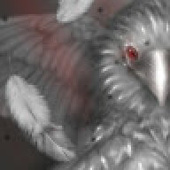 TheSalemCrow1