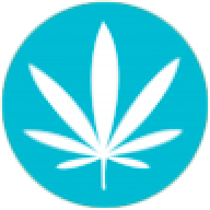 bmthisdope