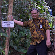 sonniedewantoro