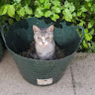 tiggie01