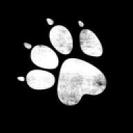 naughtydogsn