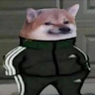 Loquinhodavila