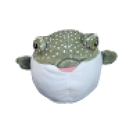 3dsplayer19