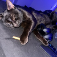 blackie