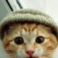 Rendercatz