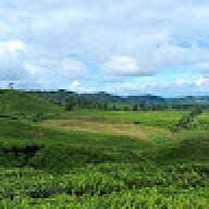 Fontera