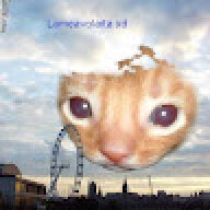 ggasedd