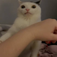 ShobebeIam
