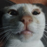 chaparroteamo