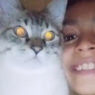 Rayan Simo
