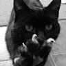 Kezo0-