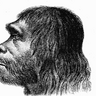 Neanderthal_Man