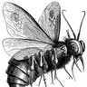 BaalTzebub
