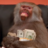 PresidentKlumsy