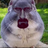 fve_22