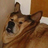 MapleSyrup22