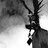 amenable