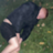 robrobrob98