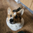 Zeldycakes95