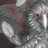 TheSalemCrow1