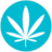 bmthisdope