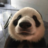 dervishhhh