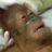 banan77676