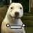 benjaooooo