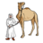 xckot