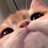 ali_021