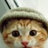 Rendercatz