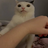 ShobebeIam